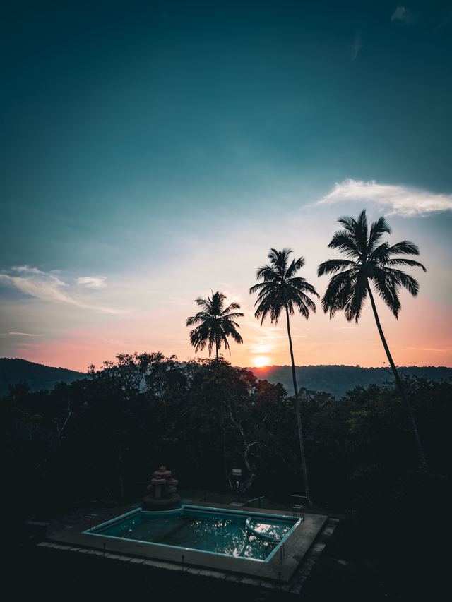 Dandeli — location photo 1