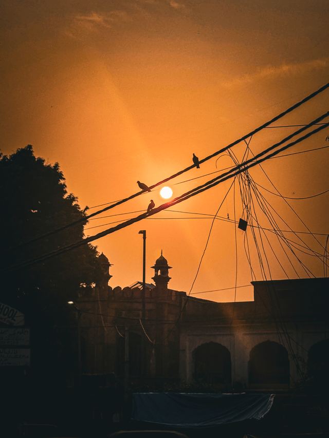 Delhi — location photo 2