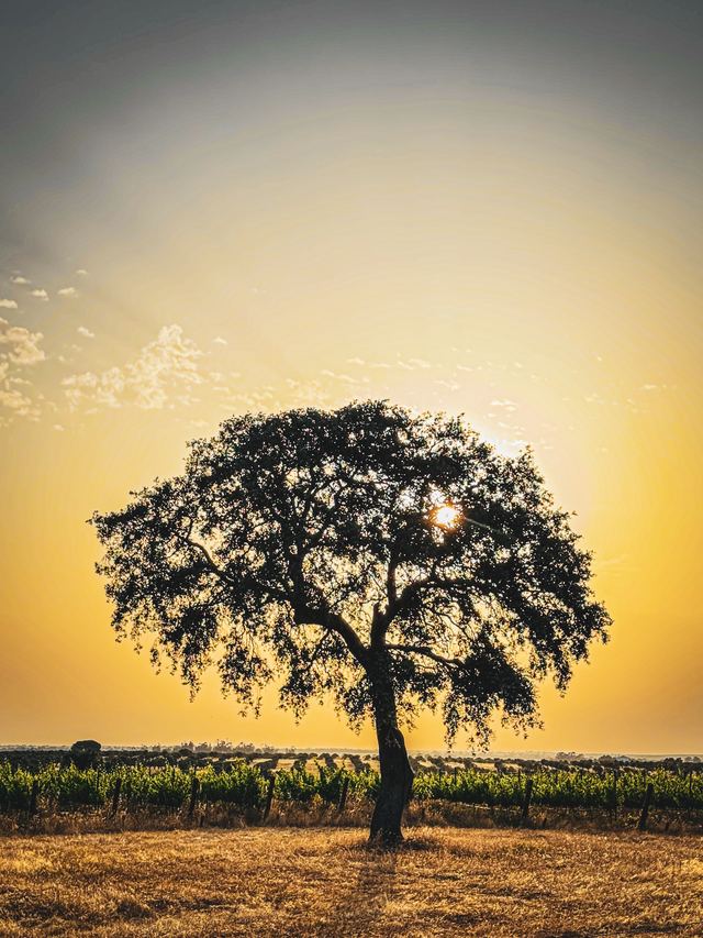 Faro — location photo 1