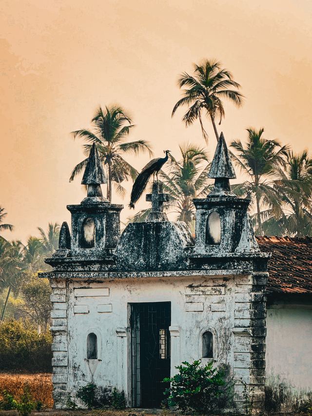 Goa — location photo 5