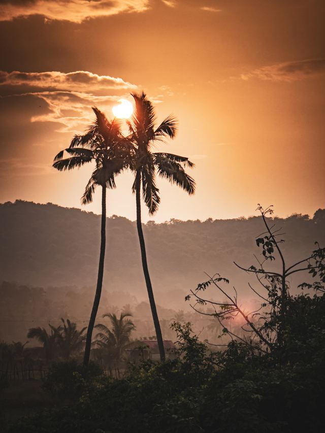 Goa — location photo 6