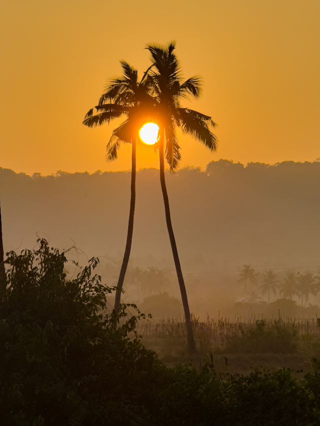 Goa — location photo 8